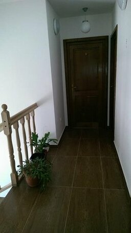 Pensiunea Rares - Photo3