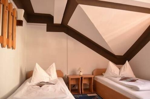 Vila Ursu Transylvania - Photo3