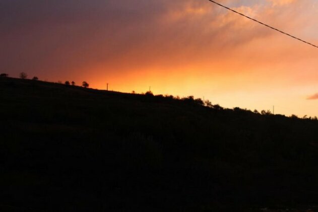 Pensiunea Fery - Photo4