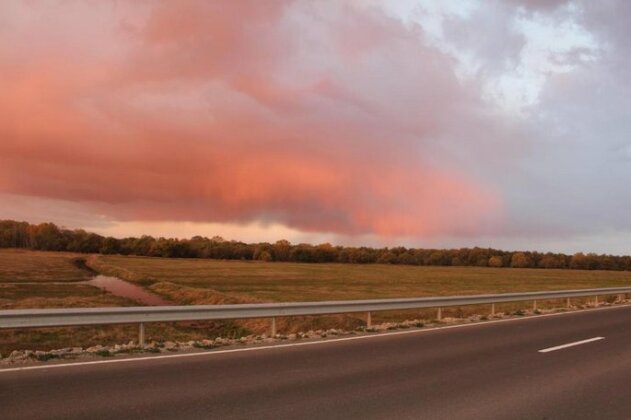 Pensiunea Fery - Photo5