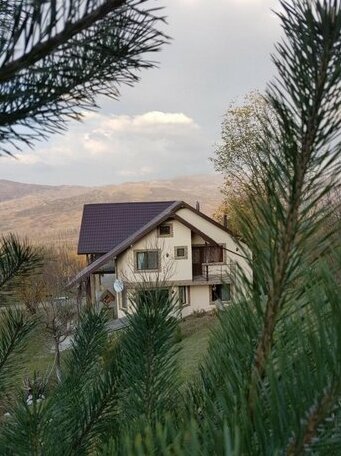 Casa 4 Anotimpuri - Photo2