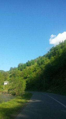 Cabana Bradul - Photo4