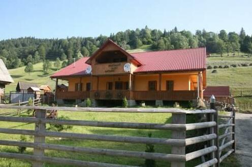 Pensiunea Valea Mariilor - Photo2