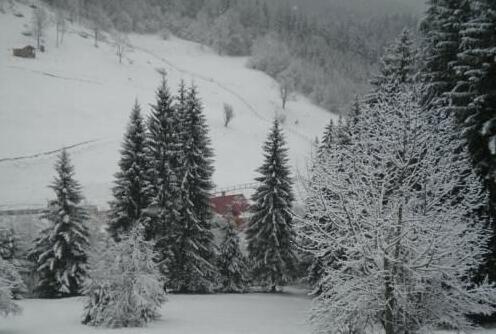 Pensiunea Valea Mariilor - Photo3