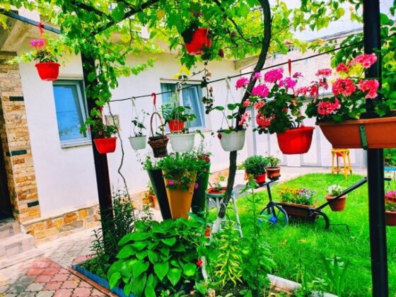 Casa Razvan Vama Veche - Photo2