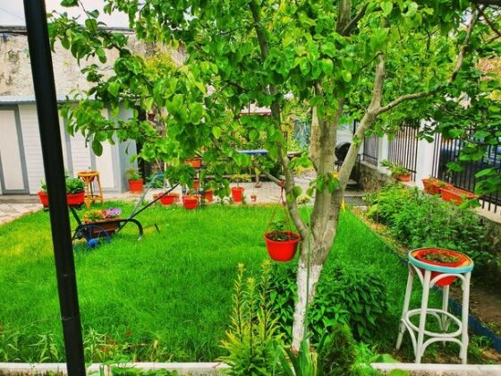 Casa Razvan Vama Veche - Photo3