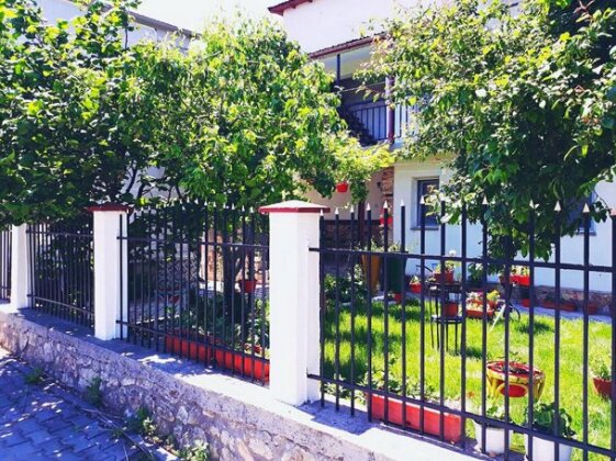 Casa Razvan Vama Veche - Photo4