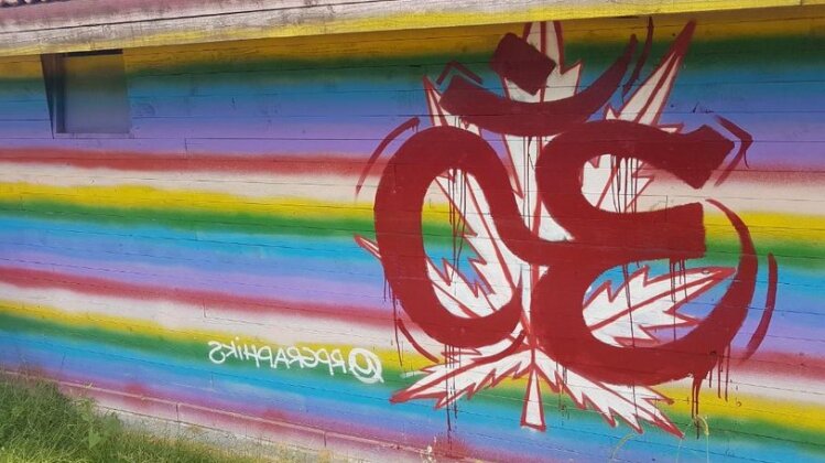 Goa Can - Photo4