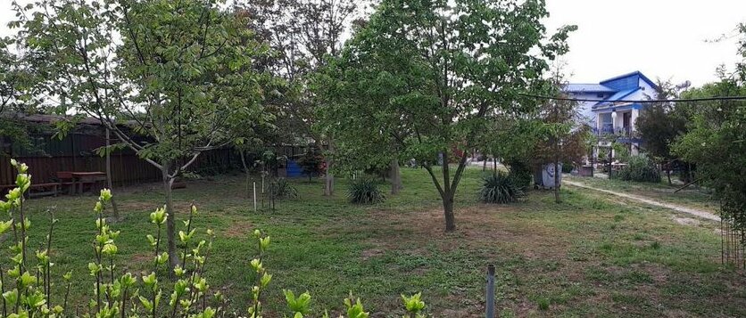 La Mariana Vama Veche - Photo3