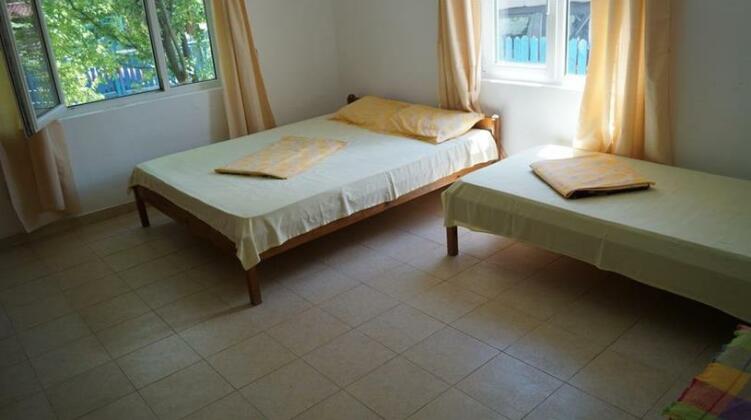 Pura Vida Breeze Hostel - Photo5