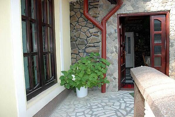 Pension Casa Aurora - Photo4