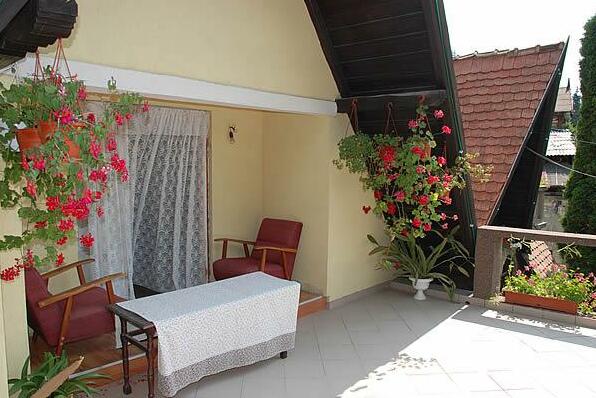 Pension Casa Aurora - Photo5
