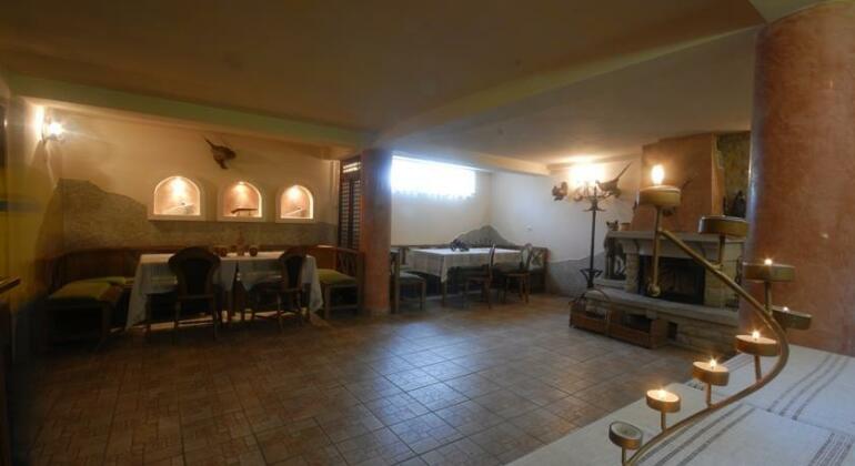 Pension Lidana Bucovina - Photo2