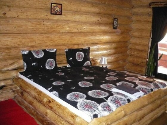 Cabana Vultur - Photo3