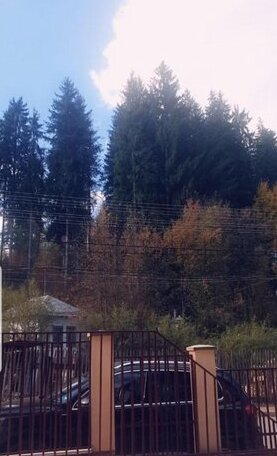 Casa Lupascu - Photo3