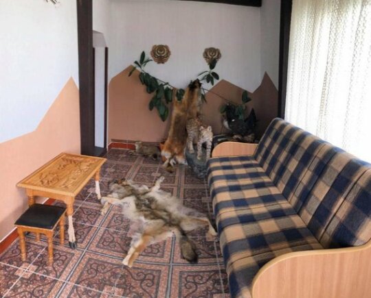 Doru' Muntelui - Photo3