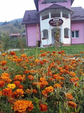Pensiune Teea - Photo2