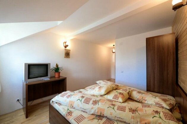 Pensiunea Arina - Photo5