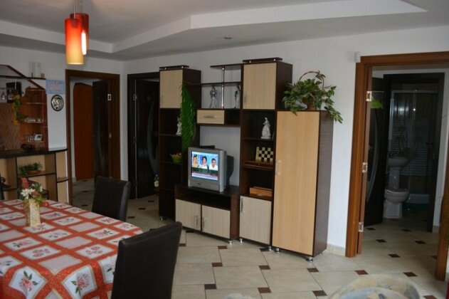 Pensiunea Casa Tamara - Photo3