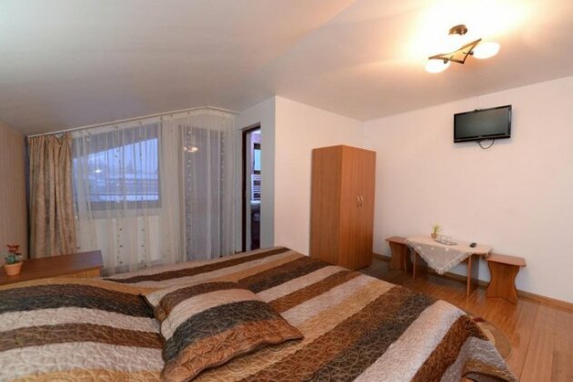 Pensiunea Dana - Photo2