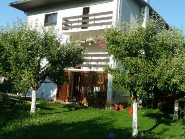 Casa Alba Viseu de Sus
