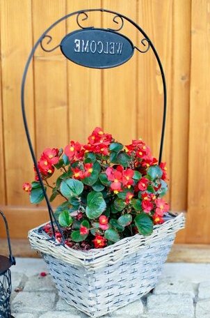 Landhaus Bed&Breakfast - Photo2