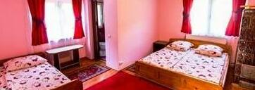 Pensiunea Barsan - Photo3