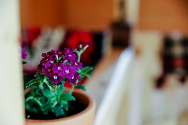 Stancuta B&B - Photo2
