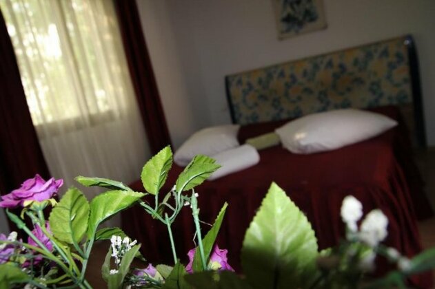 Hotel Doi Taurasi - Photo5