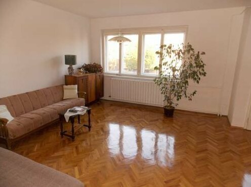 Apartment Radivoja Rakonjca 8 - Photo5
