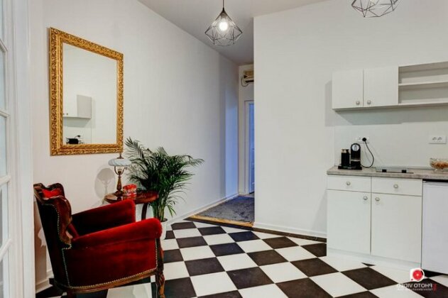 Class Vintage Apartment - Photo3