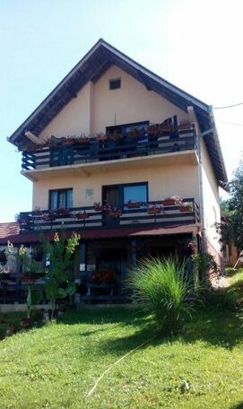 Guesthouse Djurovic - Photo2
