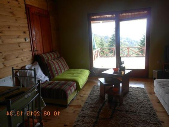 Holiday Home Transilvanija - Photo3