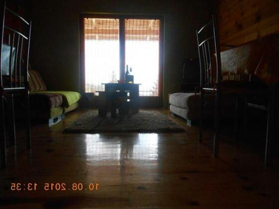 Holiday Home Transilvanija - Photo5