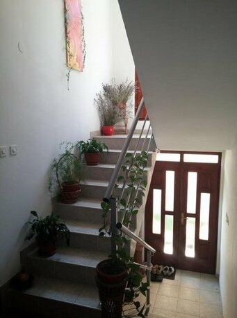 Guest House Petrovic - Photo3