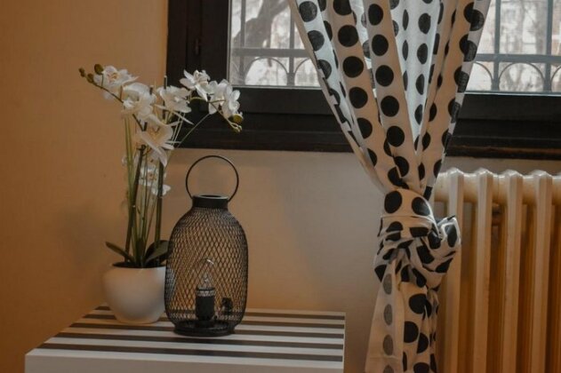 Black and White Novi Sad - Photo3
