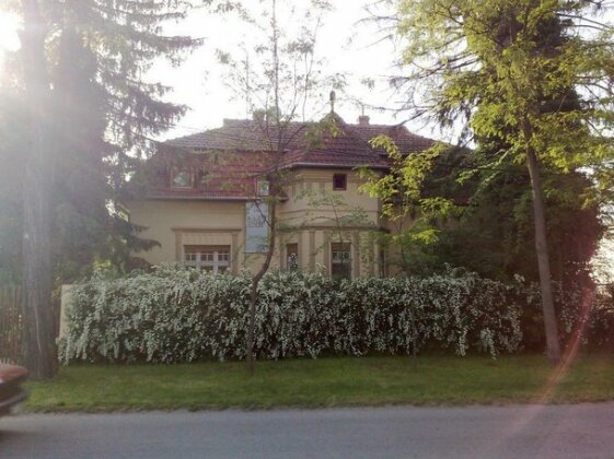 Villa Ricz - Photo4