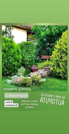 Apartment in Paradise Smederevo - Photo4