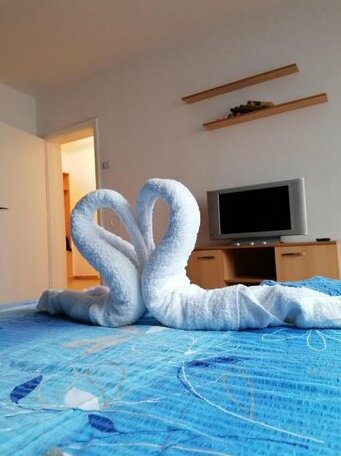 Apartman Ika Sokobanja - Photo3