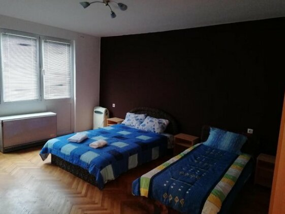 Apartman Ika Sokobanja - Photo5