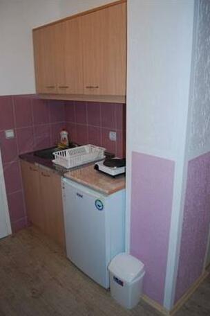Apartments Nikolic Sokobanja - Photo3