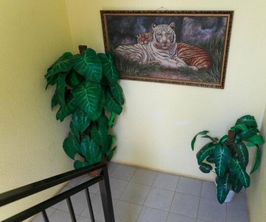 Anna Sofya Guest house - Photo2