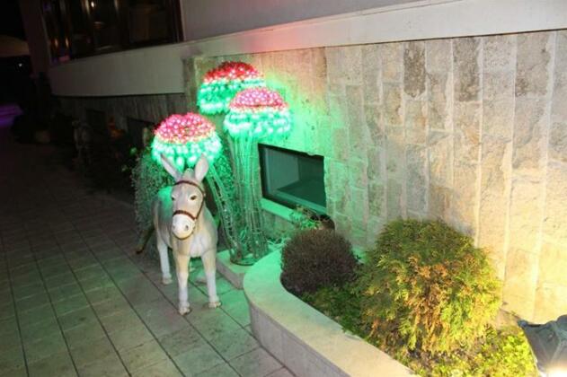 Dubai Hotel Adler - Photo2