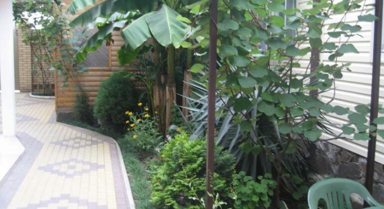 Guest House Elena Adler - Photo5