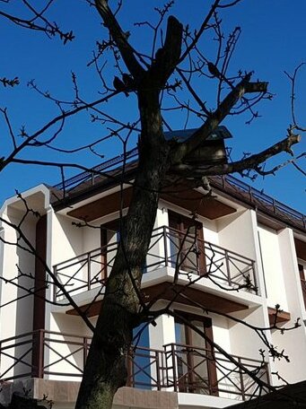 Hotel Olga Adler - Photo2