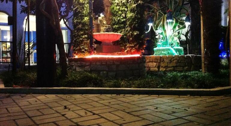 Oasis Guest House - Photo5
