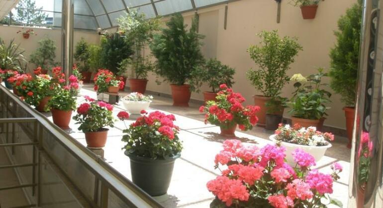 Vesta Guest House Adler - Photo2