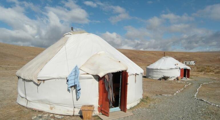 Camping Gold Camel Camping - Photo4