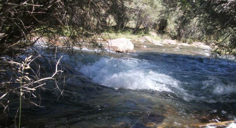 Ger Altai - Photo5