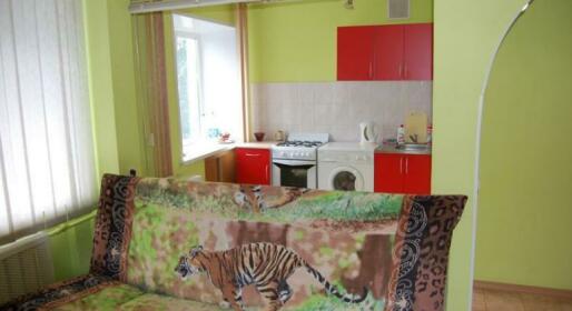 Apartment Suvorova 14
